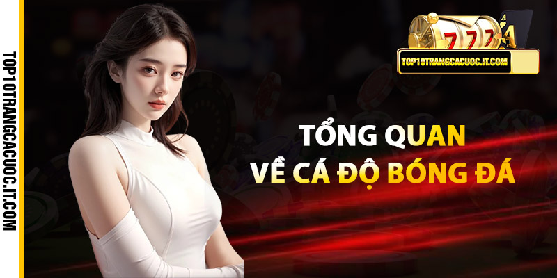Top 10 Trang Cá Cược Bóng Đá | Nhà Cái Chuẩn Châu Á 2025 12 Tổng quan về cá độ bóng đá